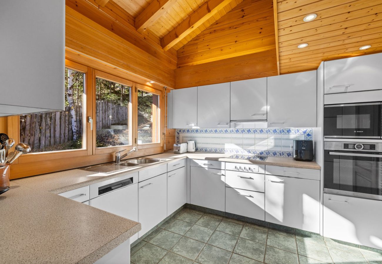 Chalet in Anzère - La Frenaie