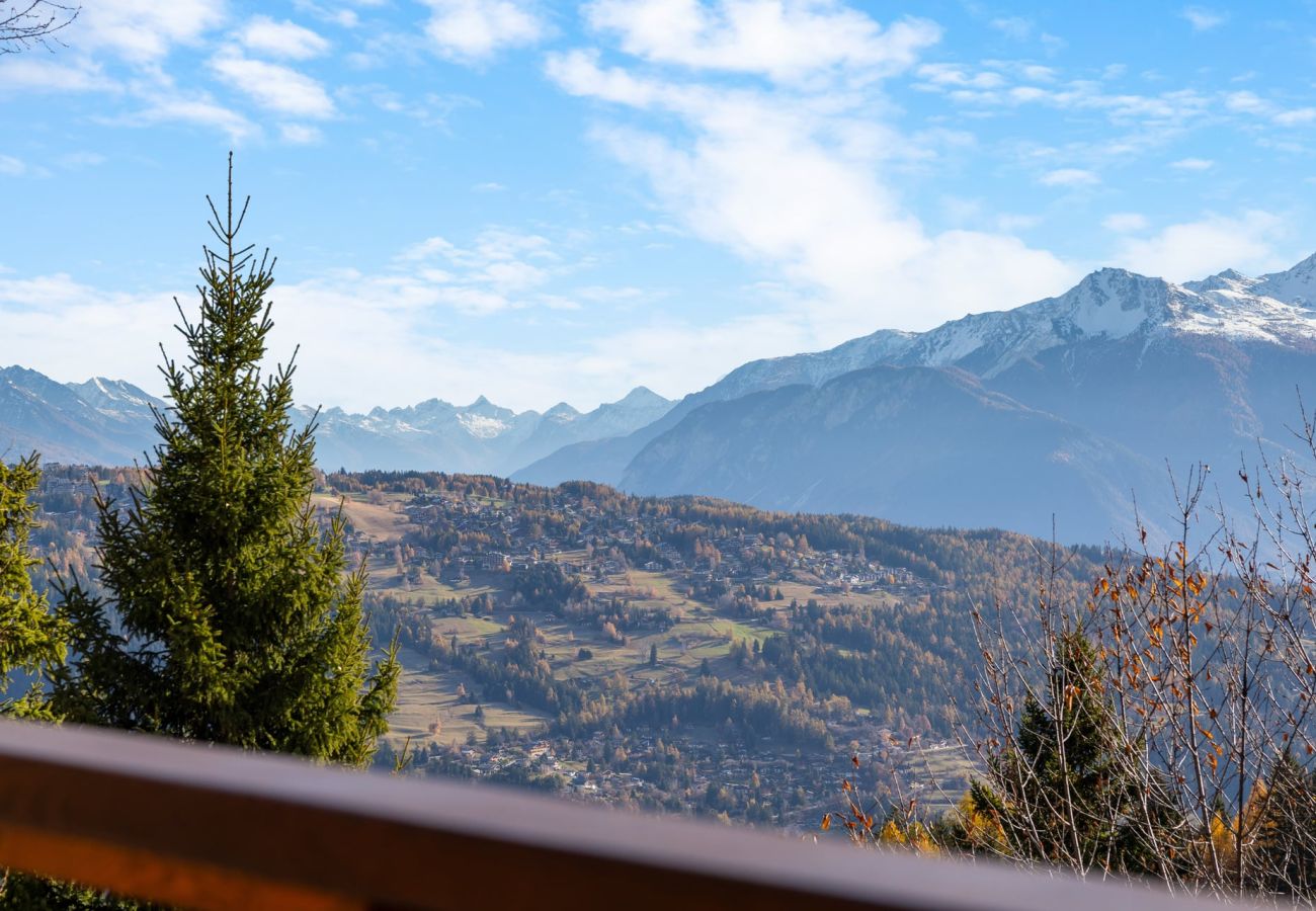 Chalet in Anzère - Praz da Luys