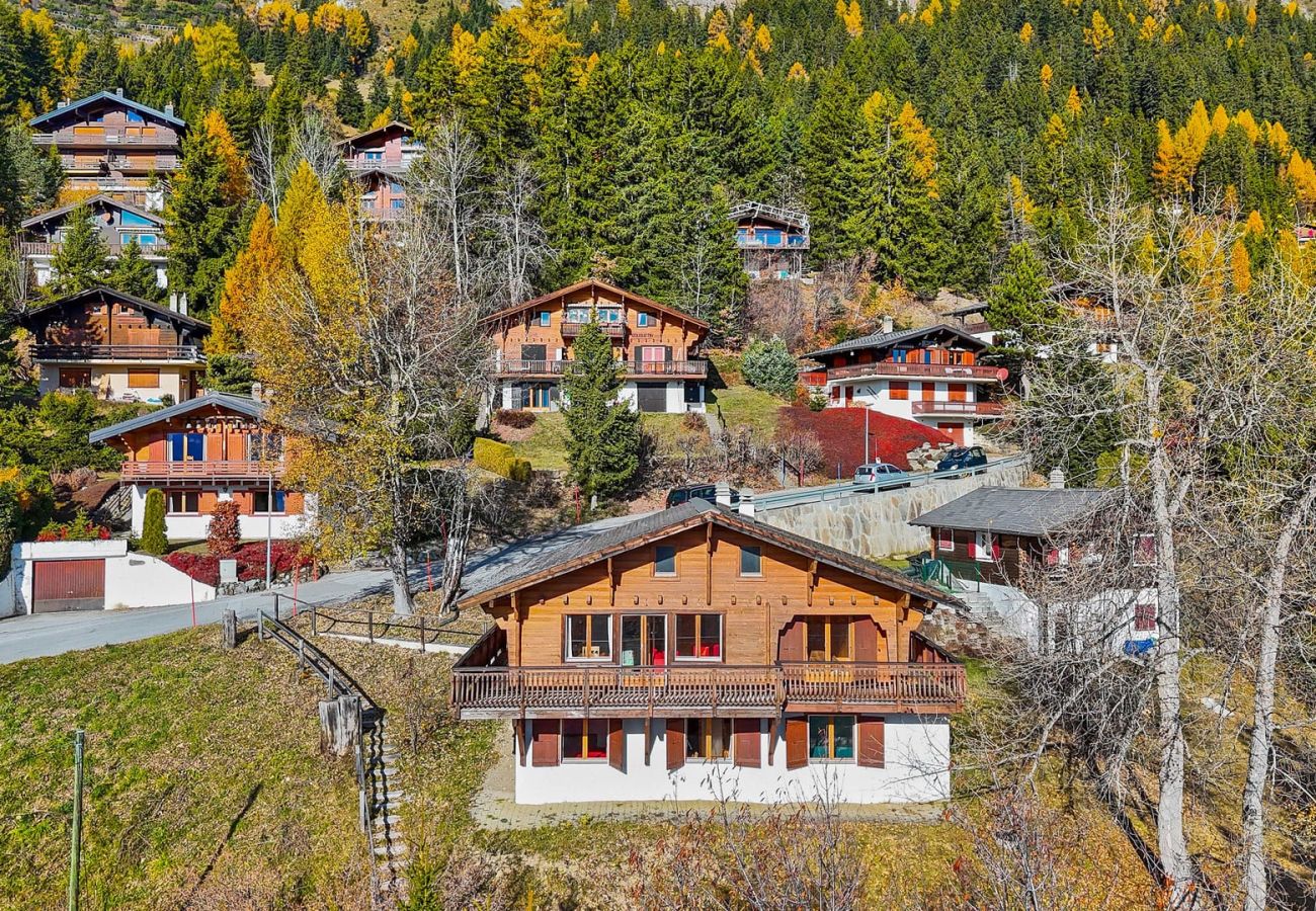 Chalet in Anzère - Praz da Luys