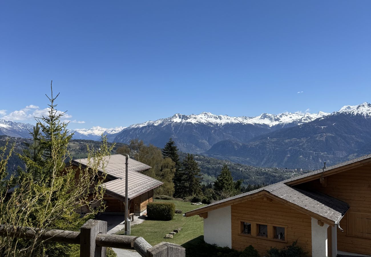 Apartment in Anzère - Domaine des Alpes 1