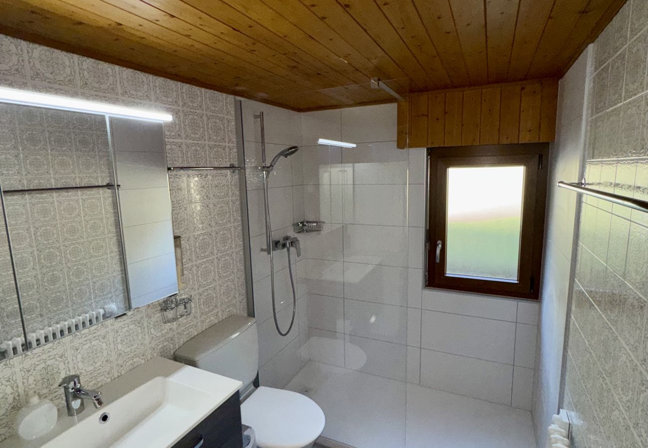 Apartment in Anzère - Tza 3