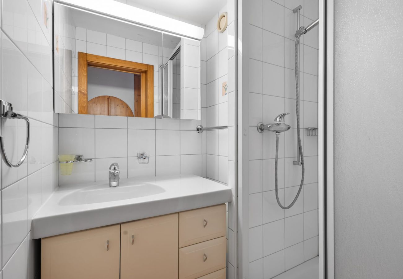 Appartement à Anzère - AV4 502