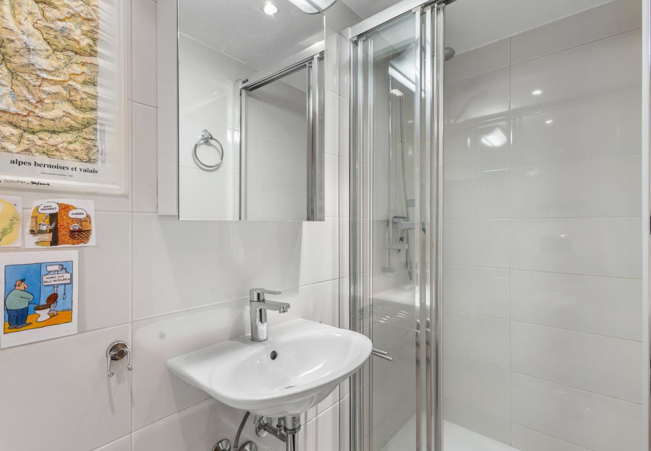 Appartement à Anzère - Emeraudes 404A