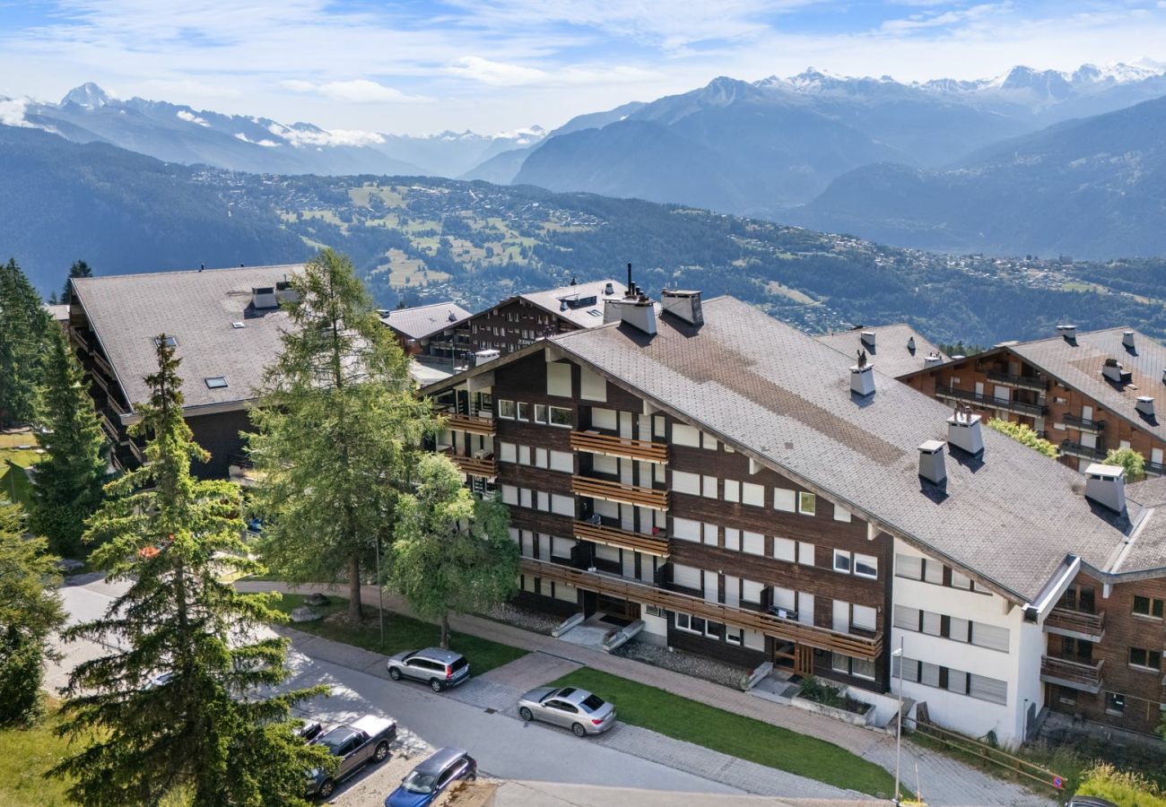 Appartement à Anzère - AV9 210