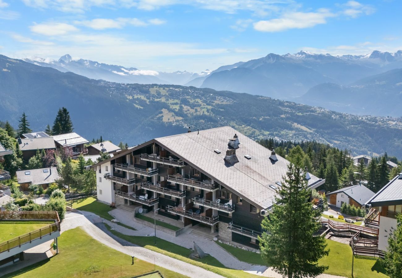 Appartement à Anzère - AV12 RS1