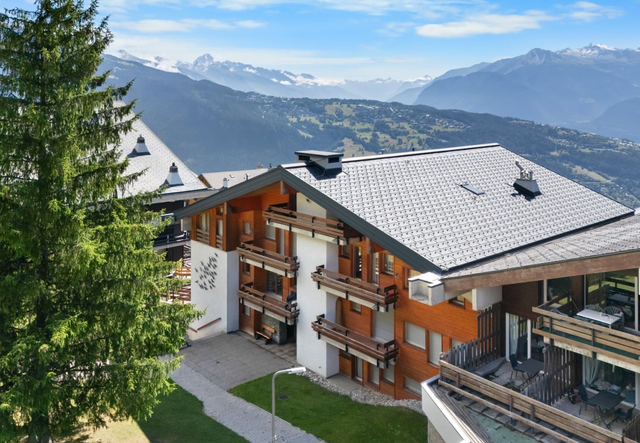 Appartement à Anzère - AV10 205