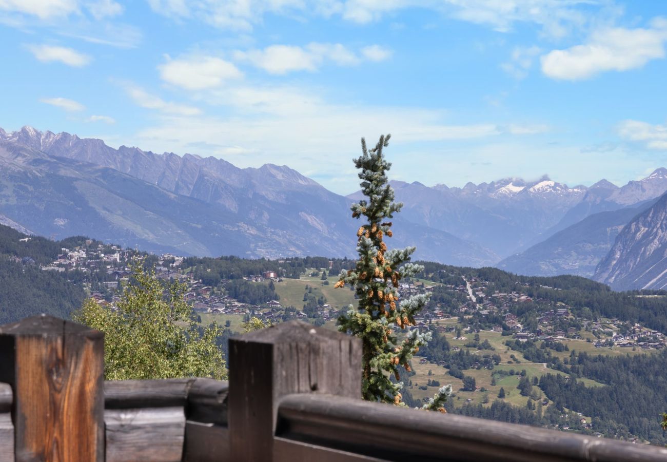 Chalet à Anzère - Noir