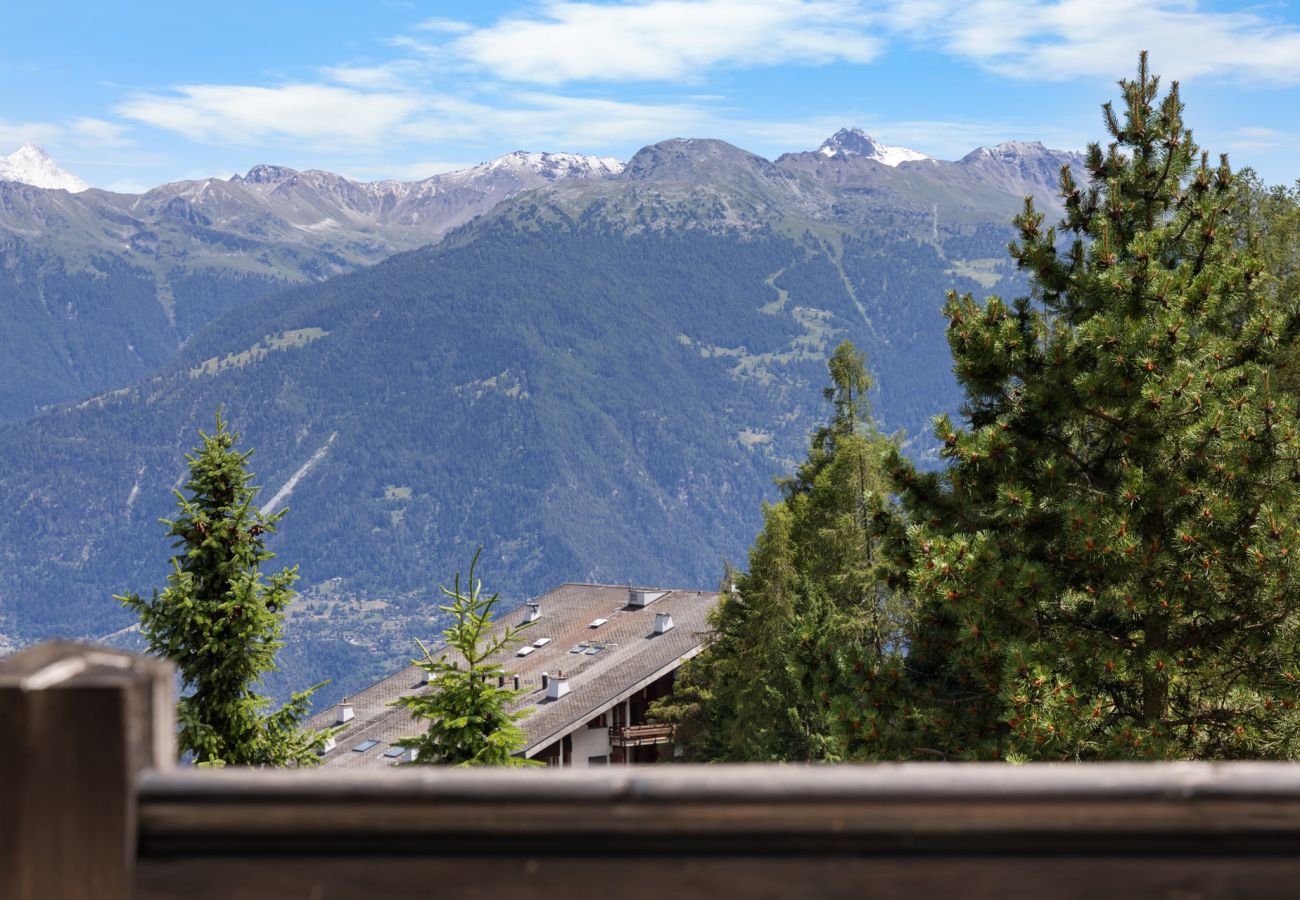 Chalet à Anzère - Noir