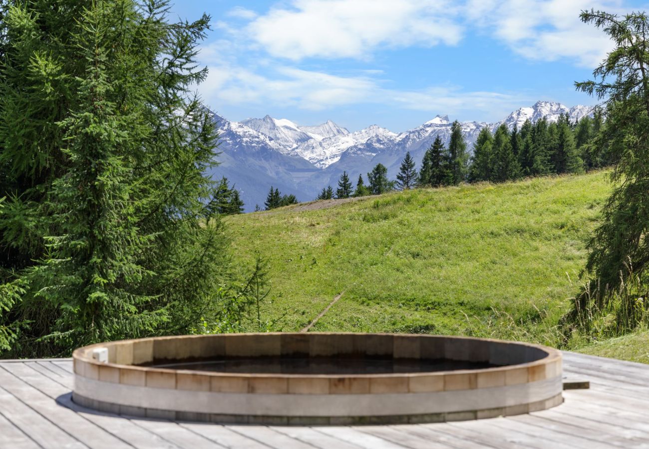 Chalet à Anzère - Noir