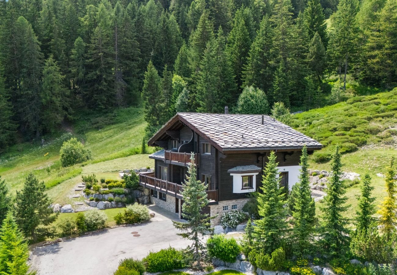 Chalet à Anzère - Noir