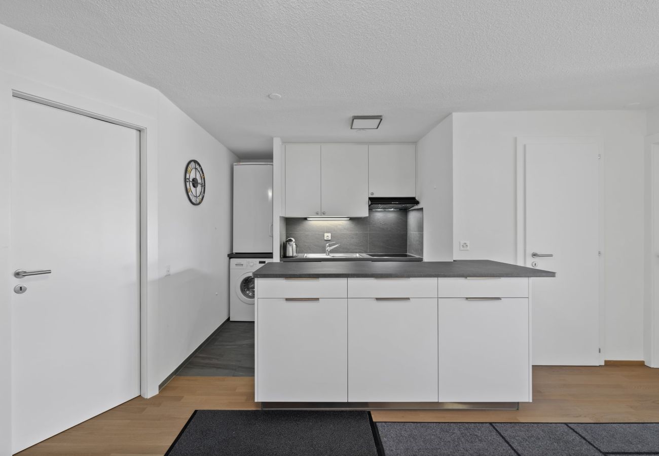 Appartement à Anzère - AV15 010