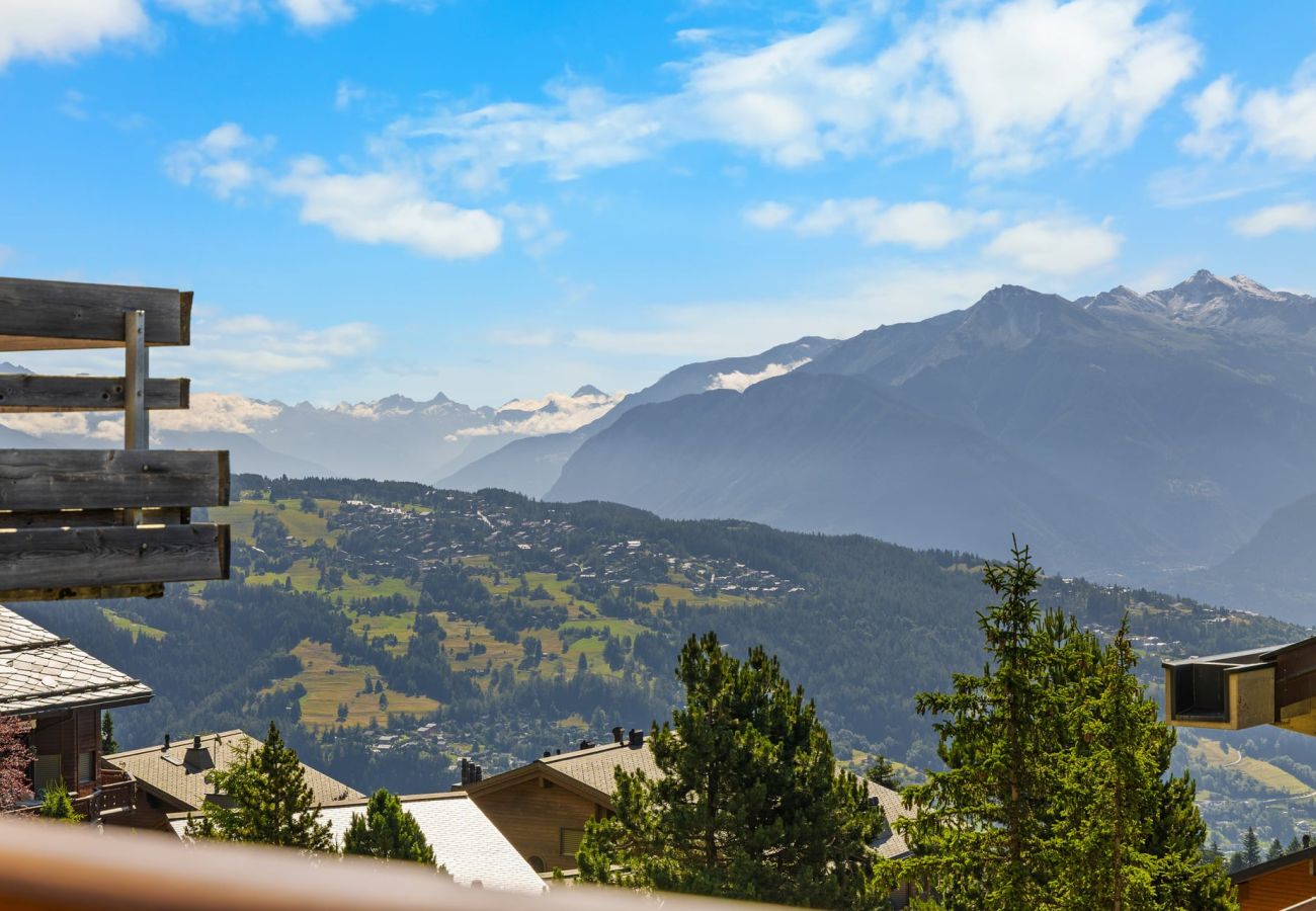 Appartement à Anzère - AV15 010