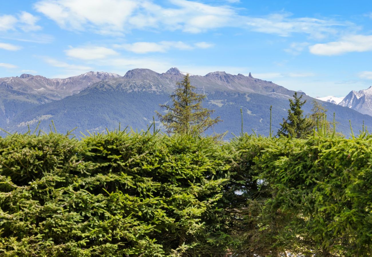 Appartement à Anzère - Plein Ciel 2