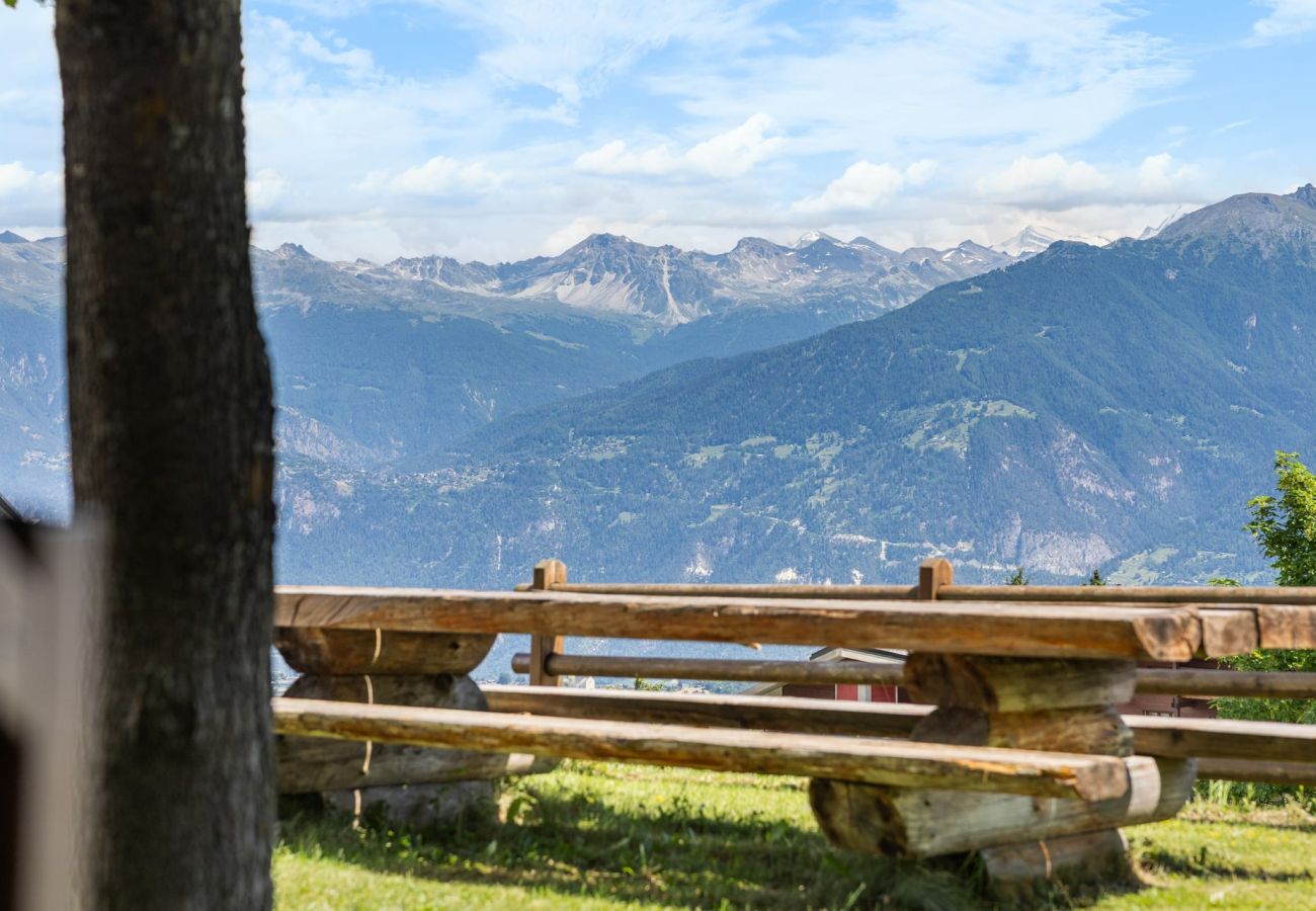Appartement à Anzère - Topaze 103