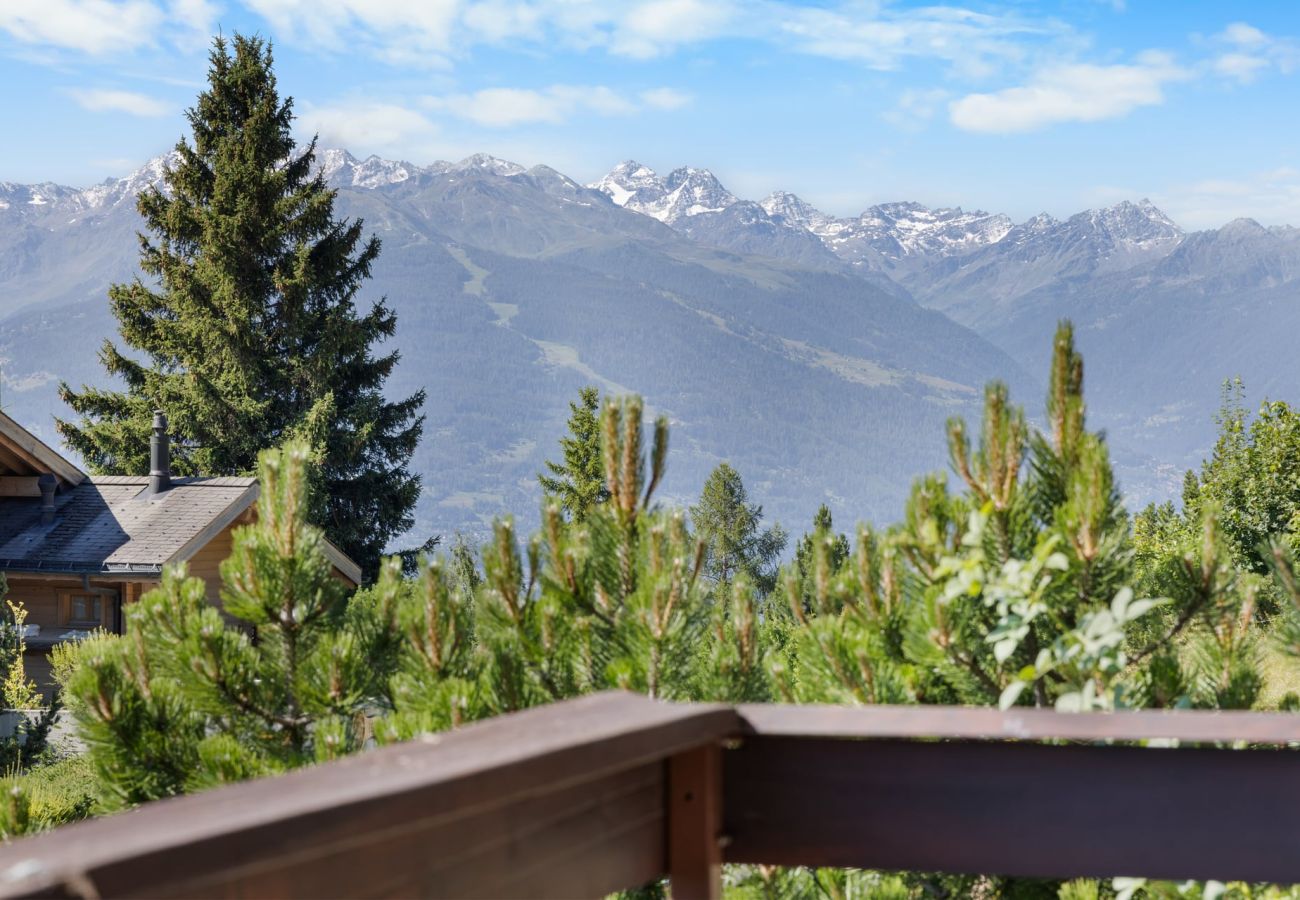 Appartement à Anzère - Rocheneige 19