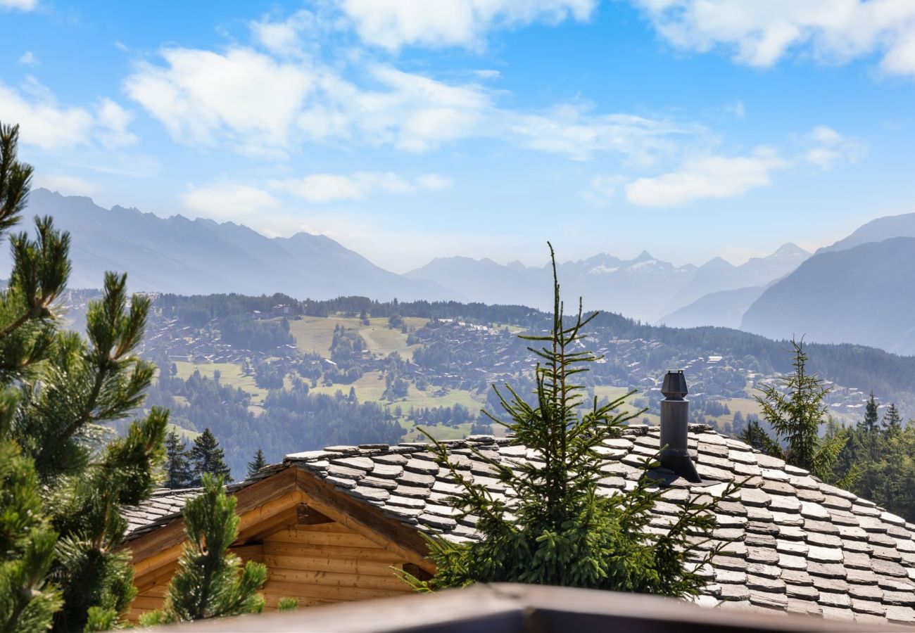 Appartement à Anzère - Rocheneige 19