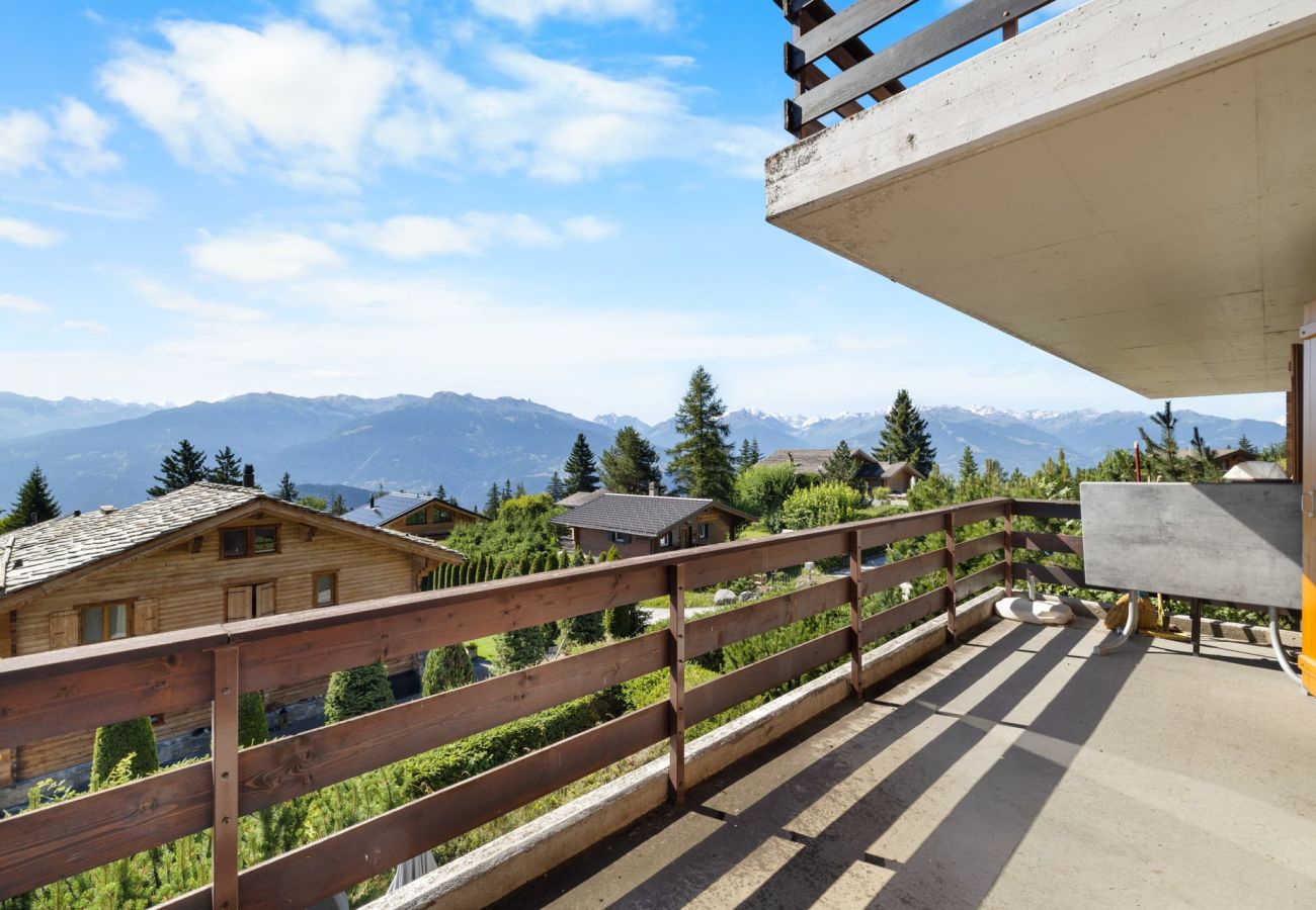 Appartement à Anzère - Rocheneige 19