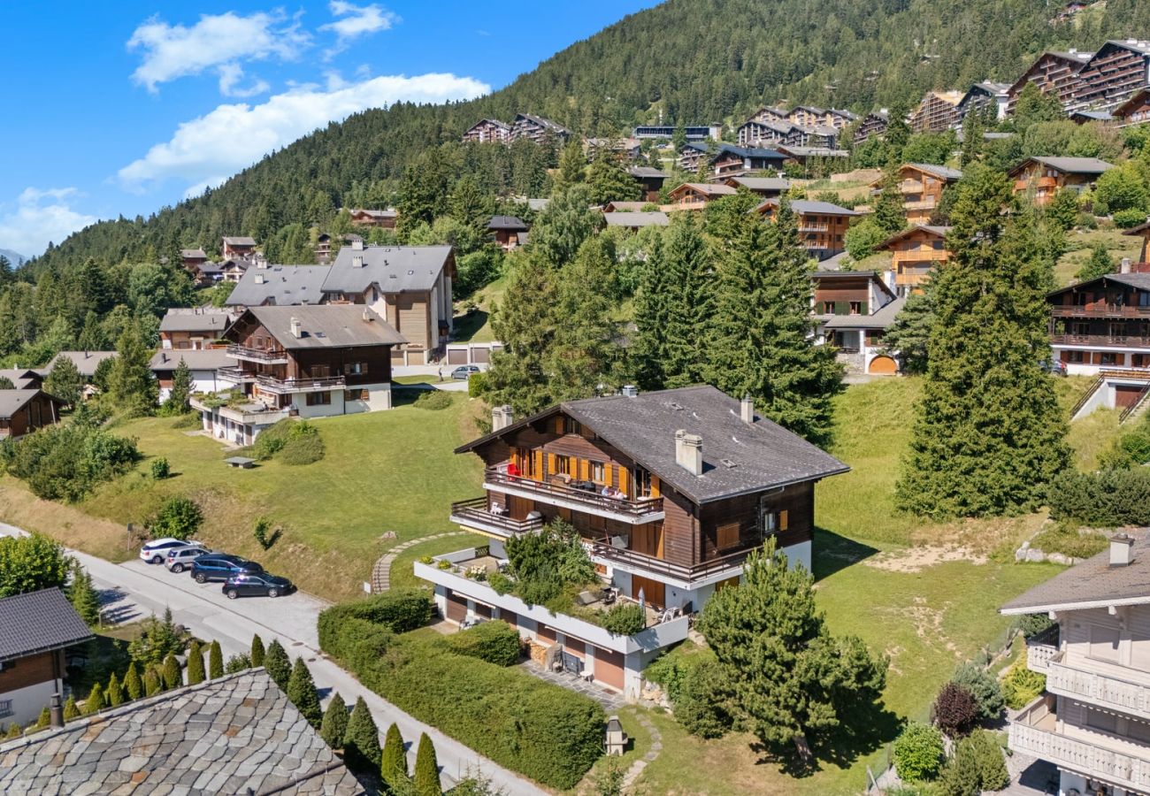 Appartement à Anzère - Rocheneige 19