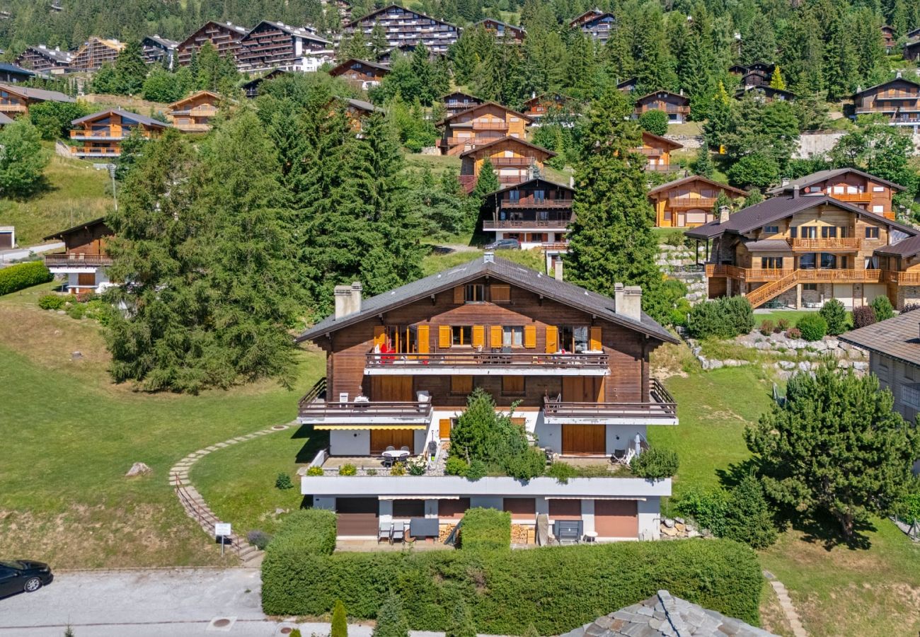 Appartement à Anzère - Rocheneige 19