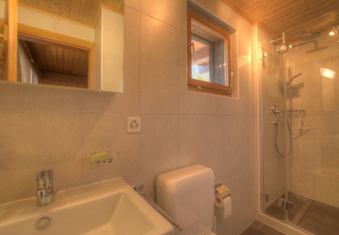 Chalet à Anzère - Féline