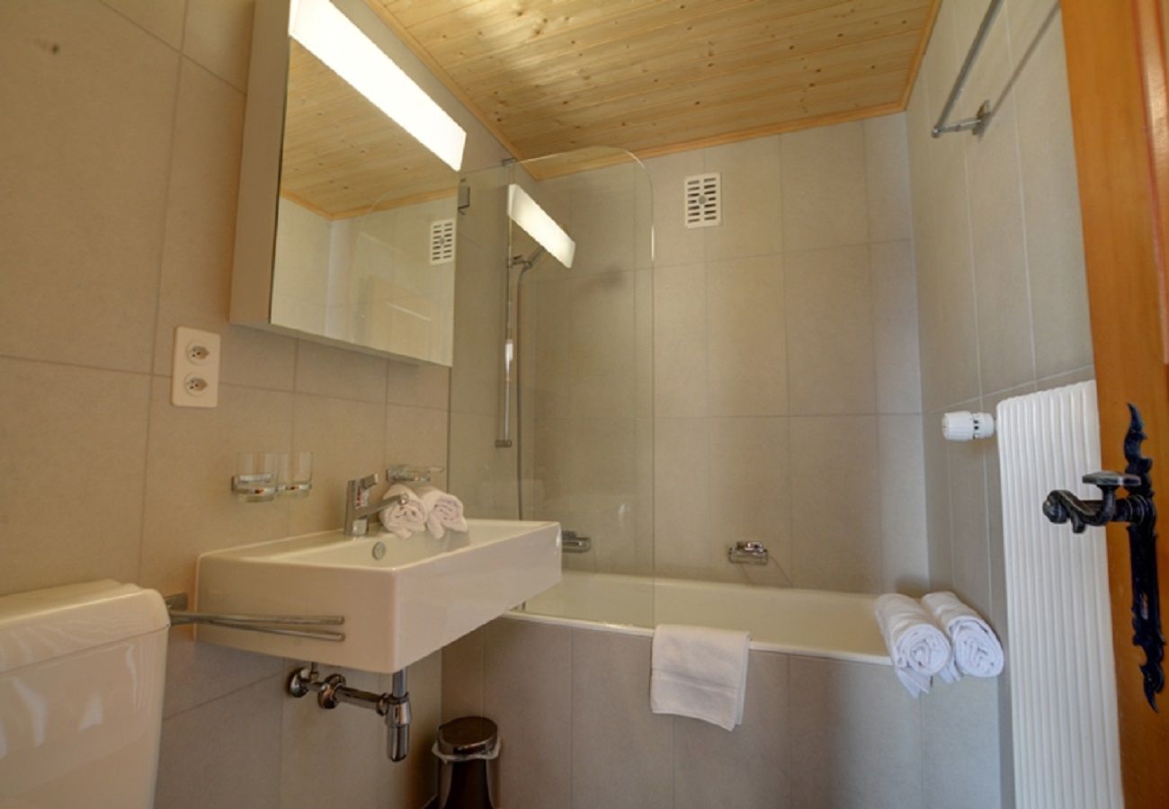 Chalet à Anzère - Féline