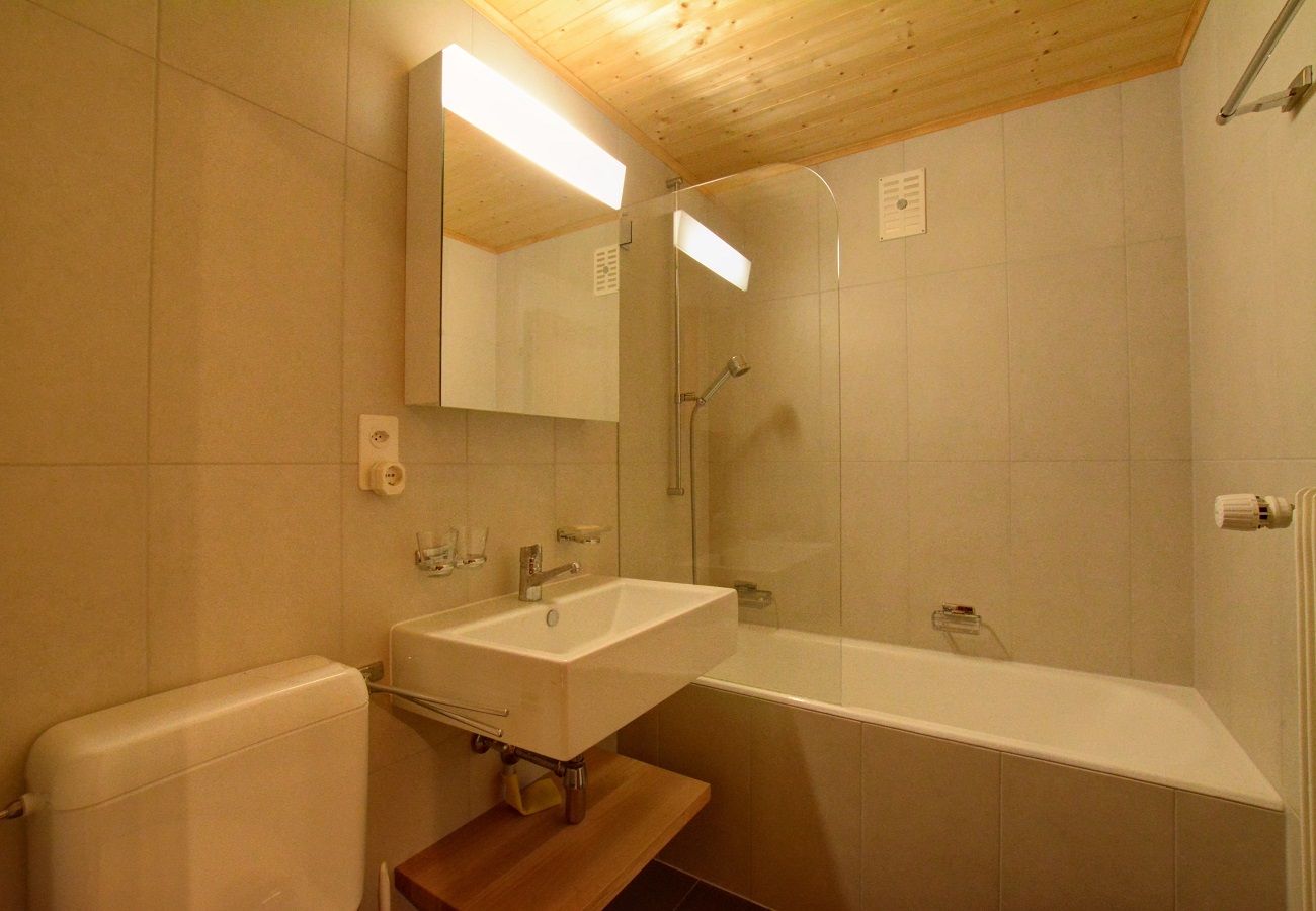 Chalet à Anzère - Féline