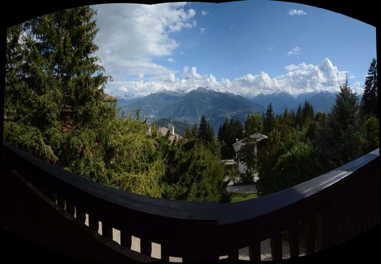 Chalet à Anzère - Féline