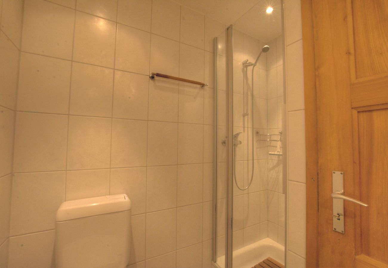 Appartement à Anzère - AV3 004