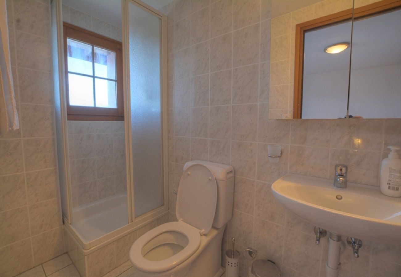 Appartement à Anzère - Rocailles C 10