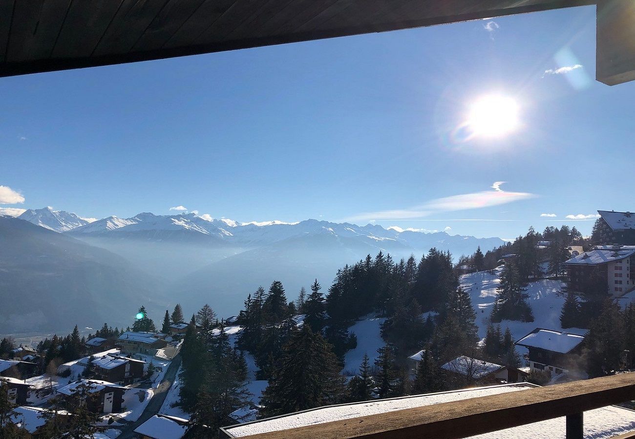 Appartement à Anzère - AV5 20