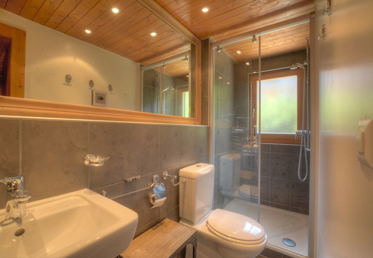 Chalet à Anzère - Isbane