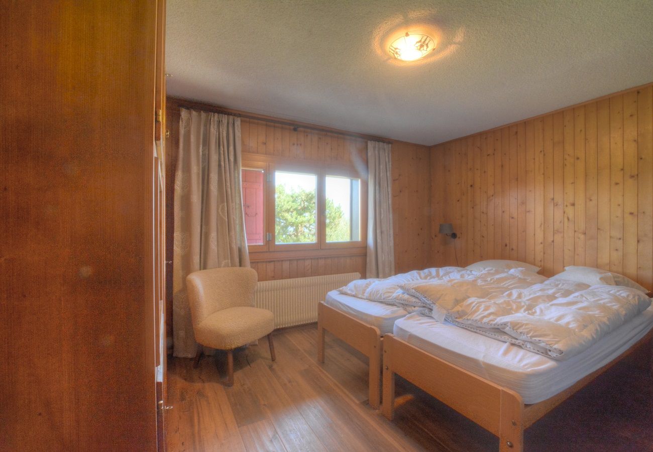 Chalet à Anzère - Isbane