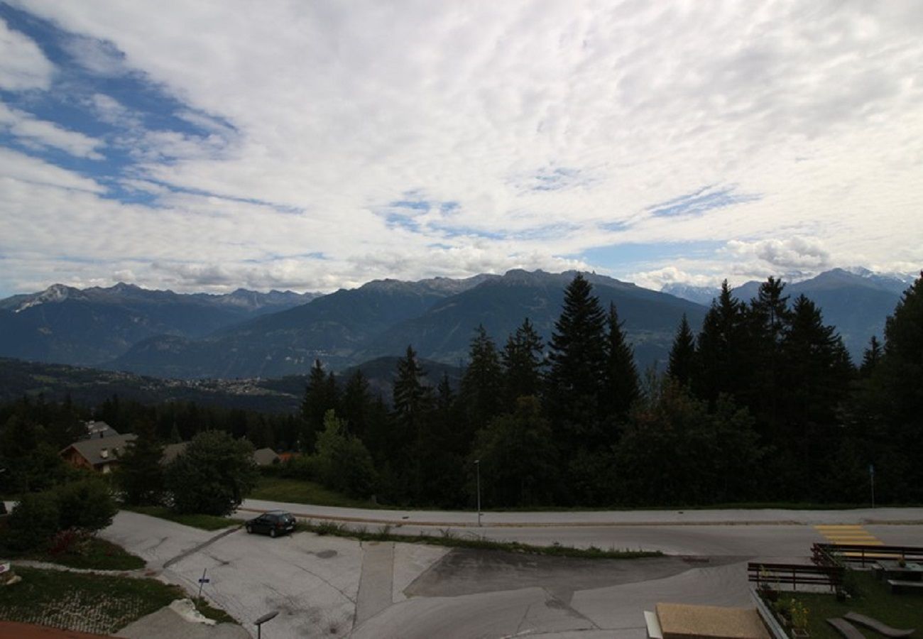 Appartement à Anzère - Trembles E6