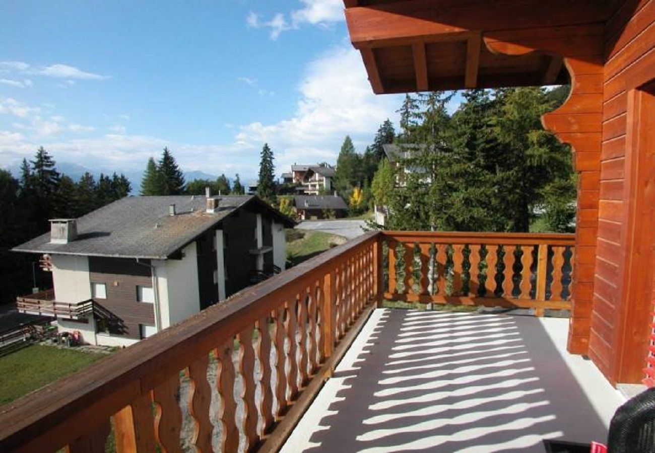 Appartement à Anzère - Trembles E6