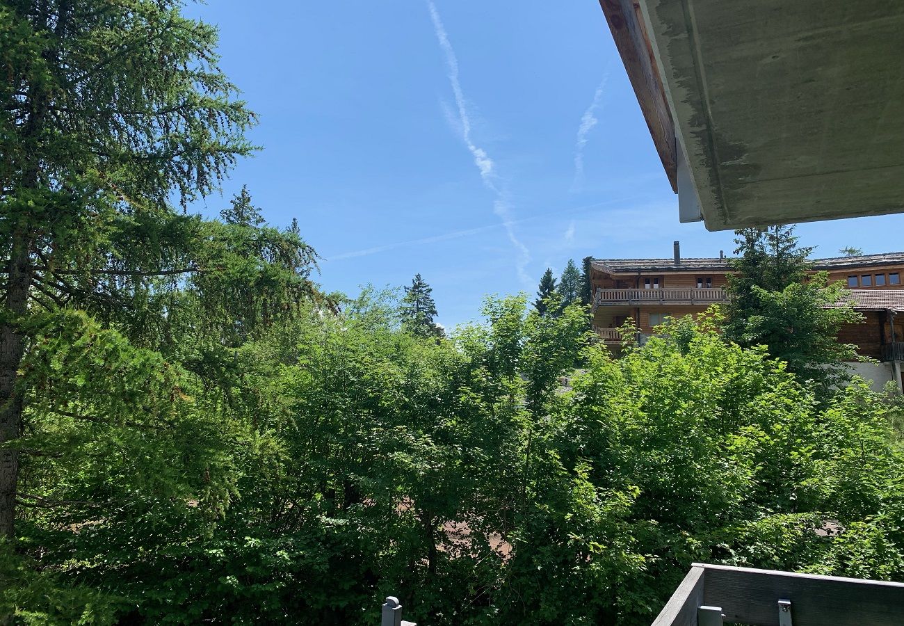 Appartement à Anzère - Edelweiss F 805