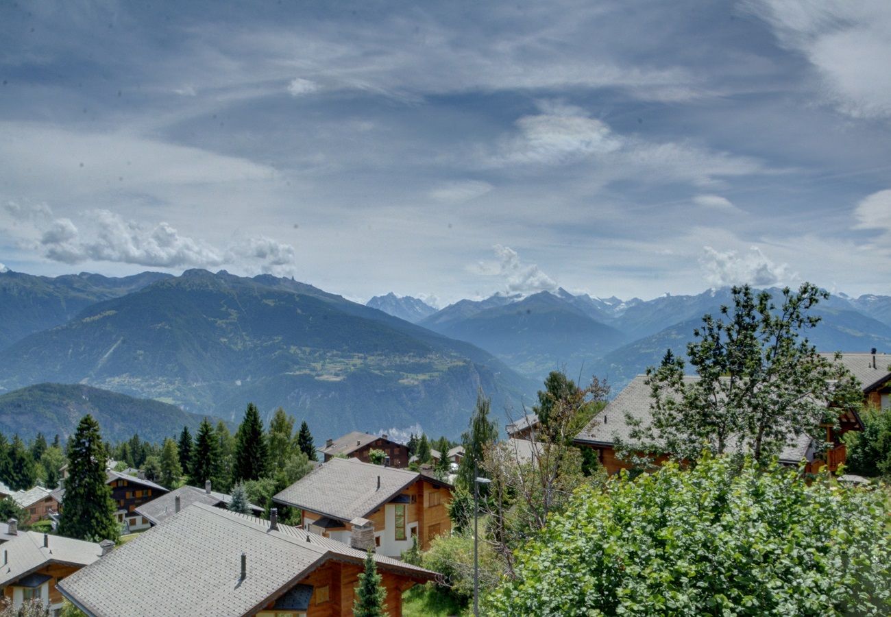 Chalet à Anzère - Cytises