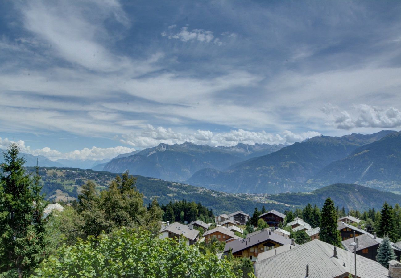 Chalet à Anzère - Cytises