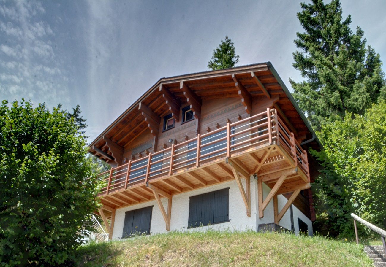 Chalet à Anzère - Cytises