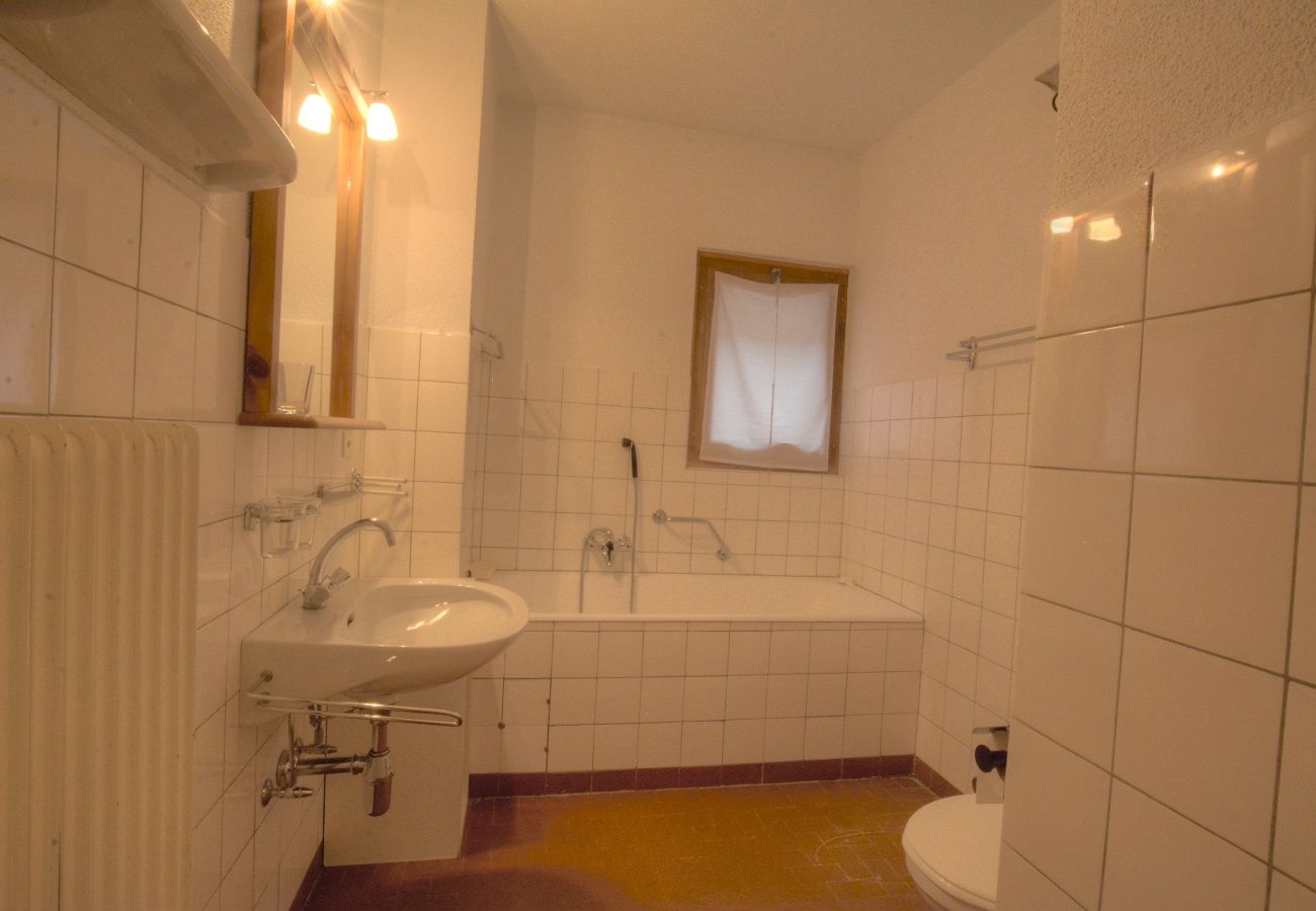 Chalet à Anzère - Dix  loups