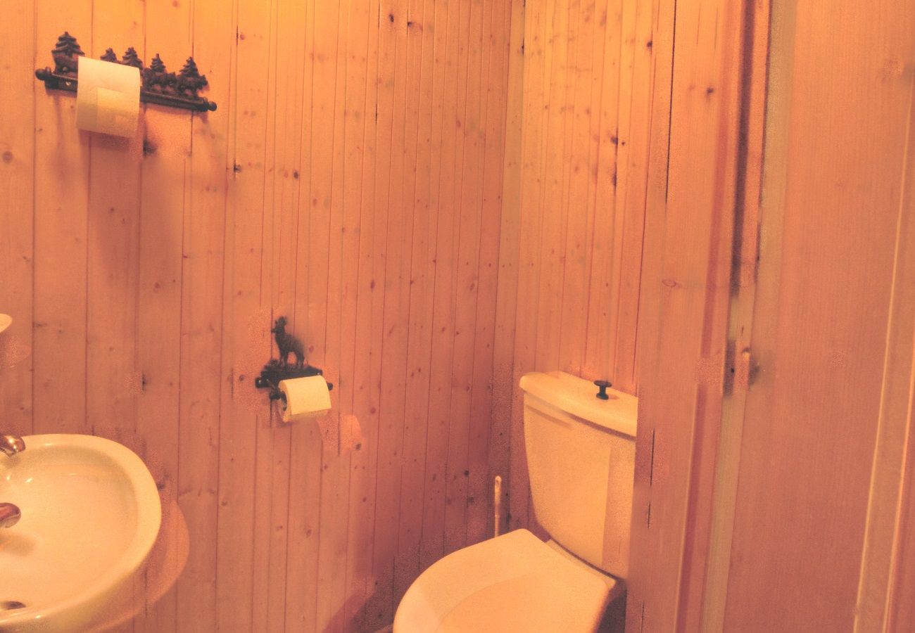 Chalet à Anzère - Dix  loups