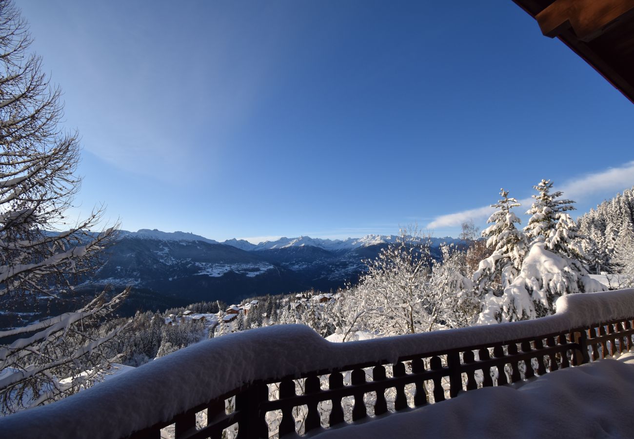 Chalet à Anzère - Dix  loups