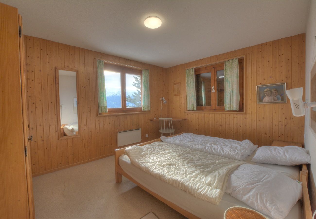 Chalet à Anzère - Johnson