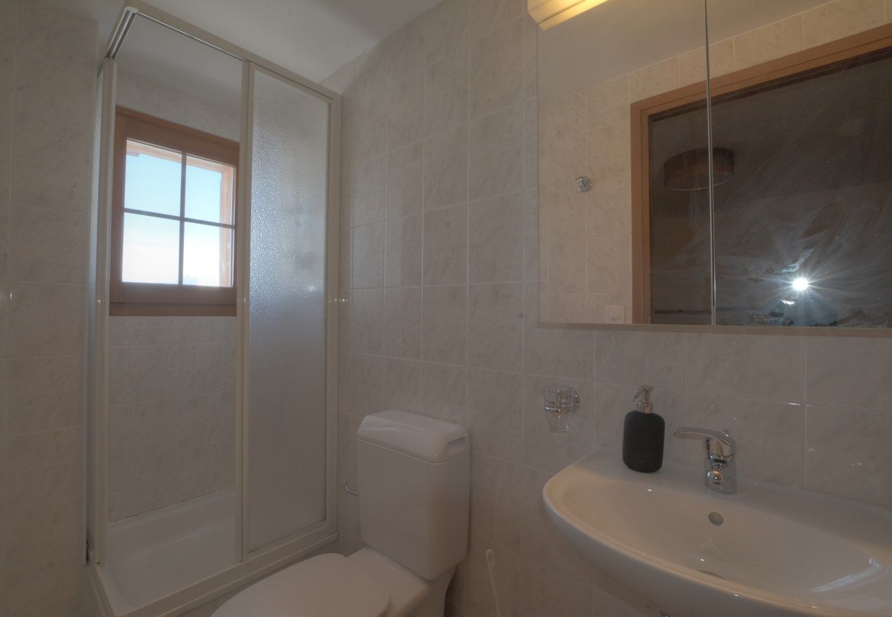 Appartement à Anzère - Rocailles C 6