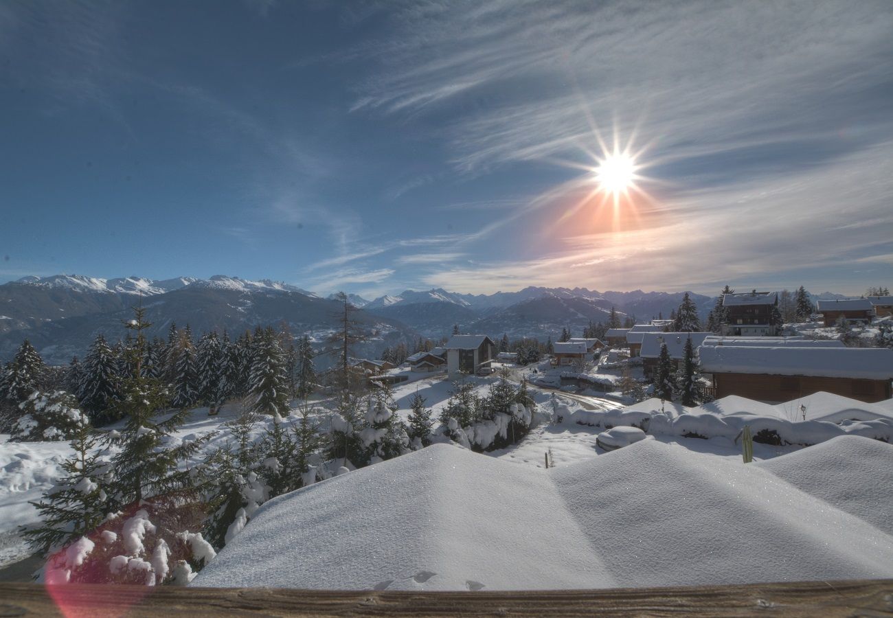 Appartement à Anzère - Rocailles C 6