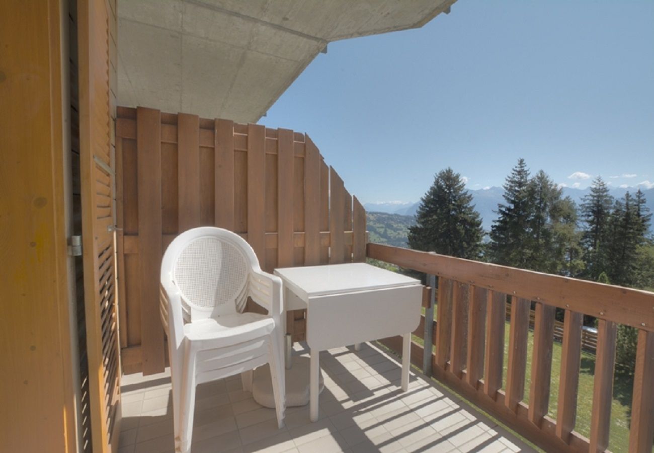 Appartement à Anzère - Rosalp 212