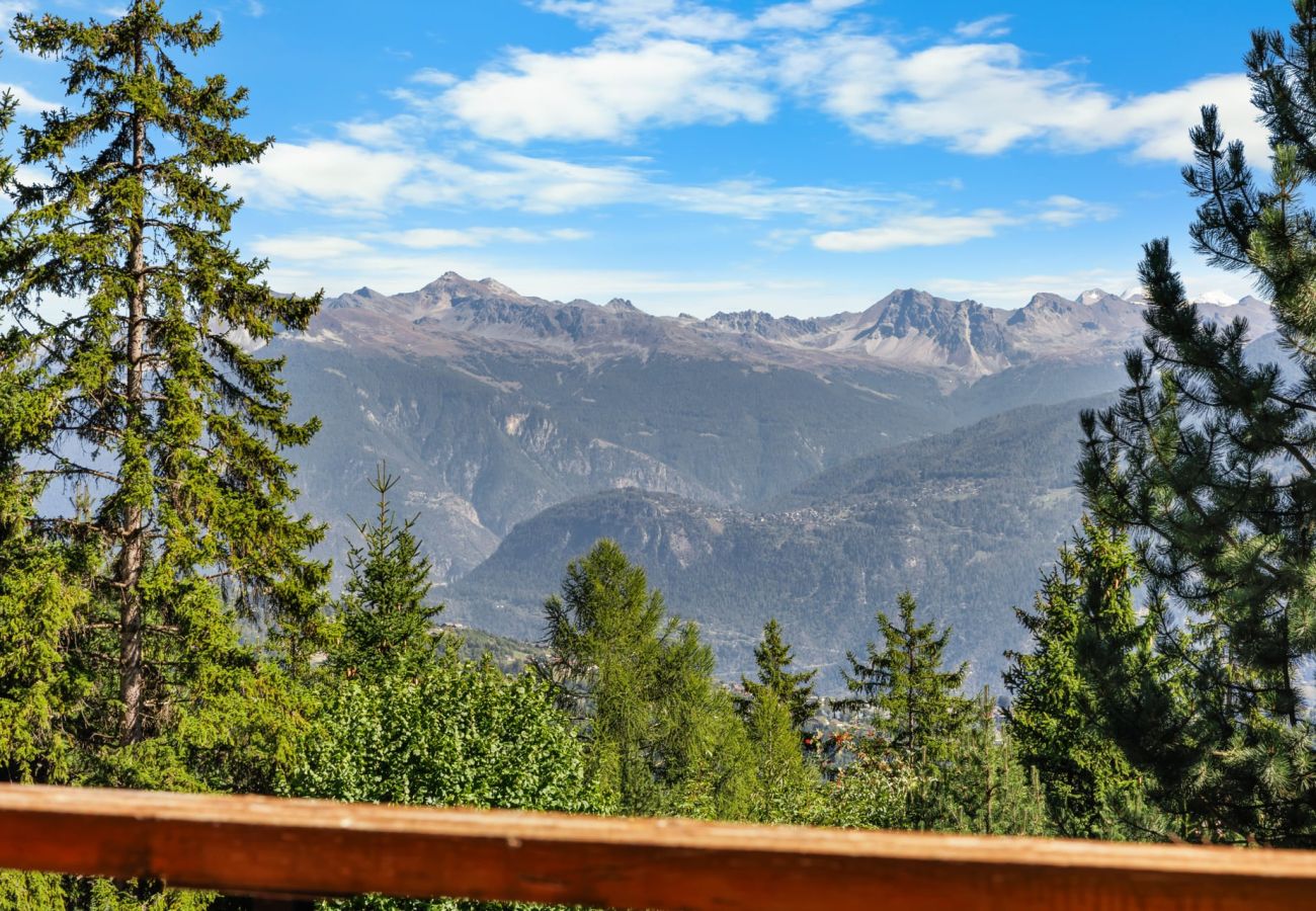 Appartement à Anzère - Veranoncelle 1