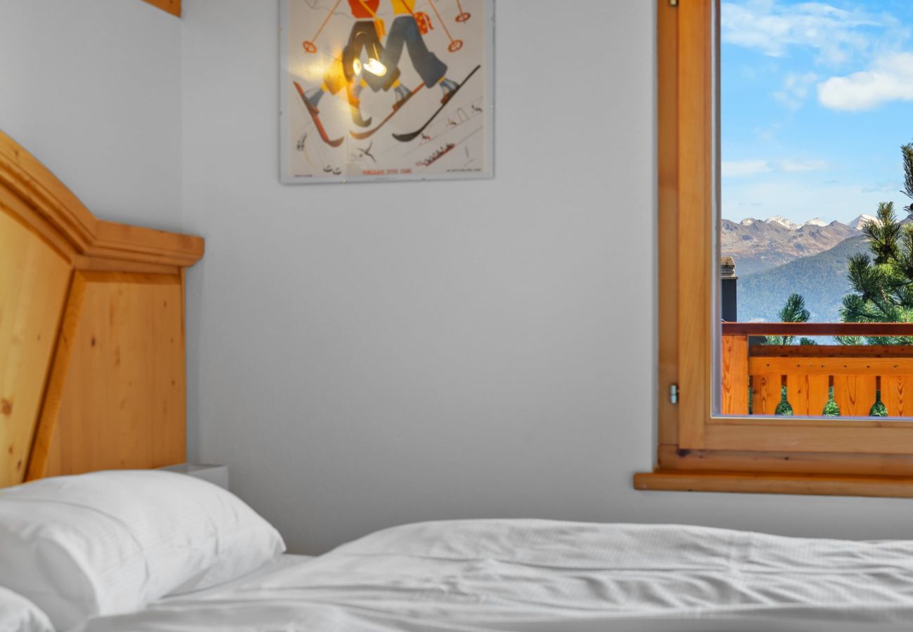 Chalet à Anzère - Campanule