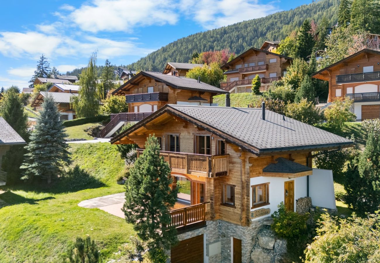 Chalet à Anzère - Campanule