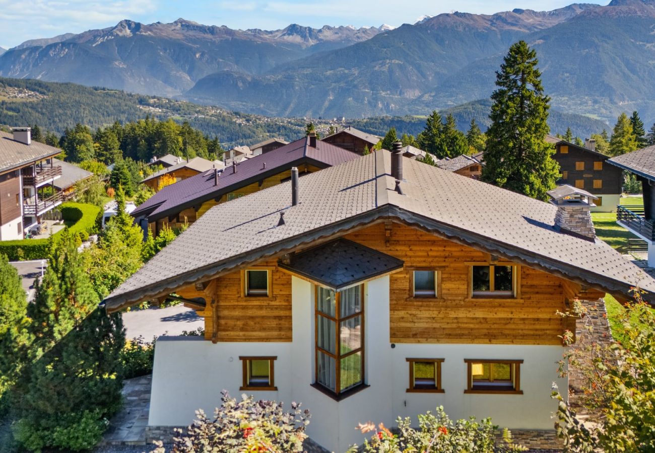 Chalet à Anzère - Campanule