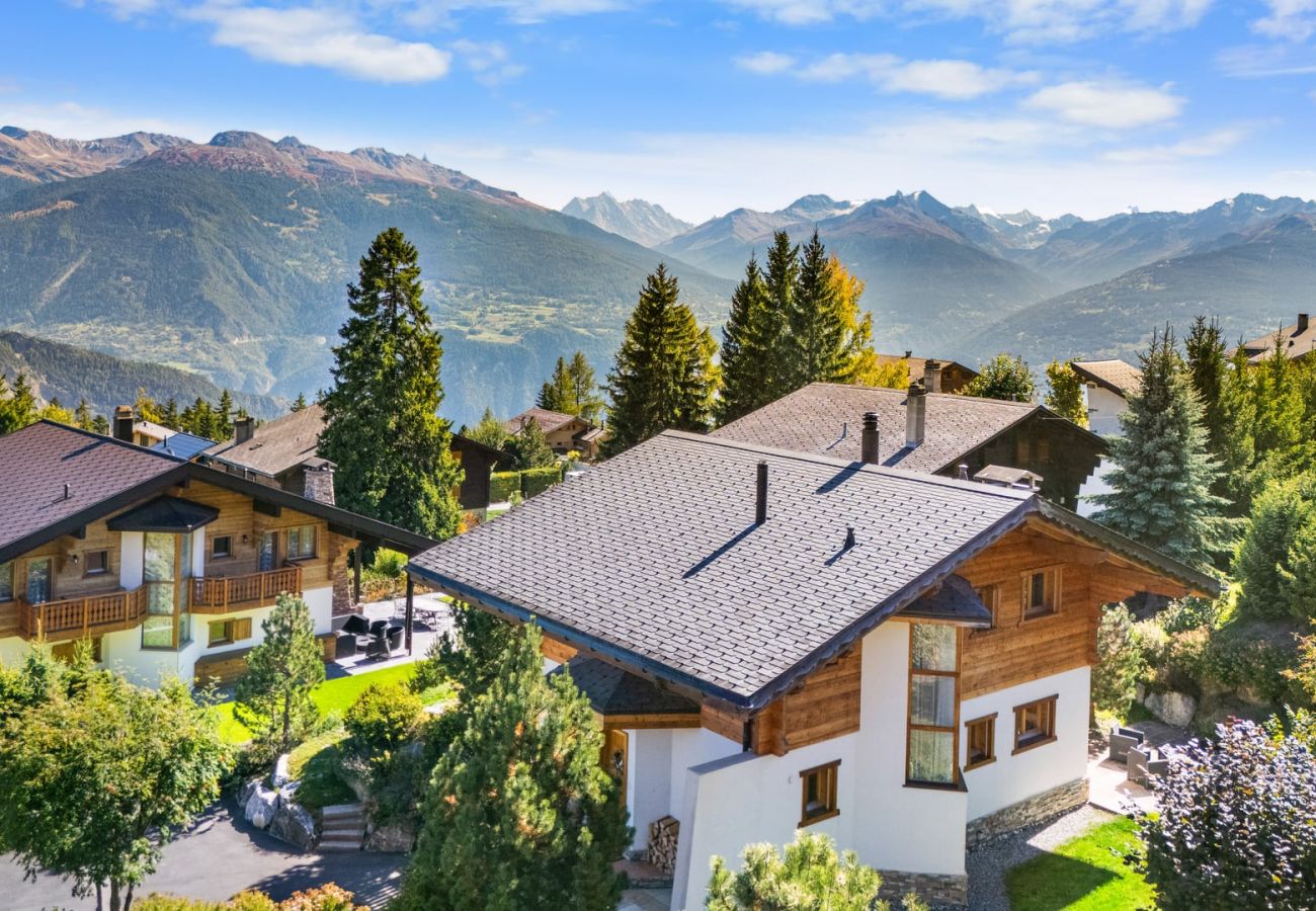 Chalet à Anzère - Campanule